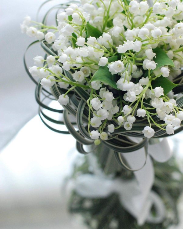 ландыш букет