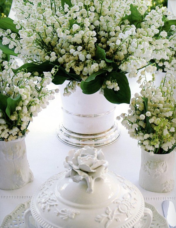 ландыш букет