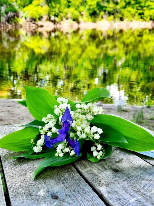 весенний ландыш