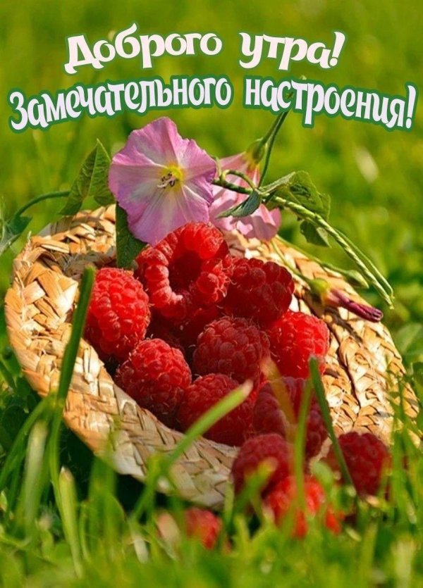 прекрасного летнего настроения