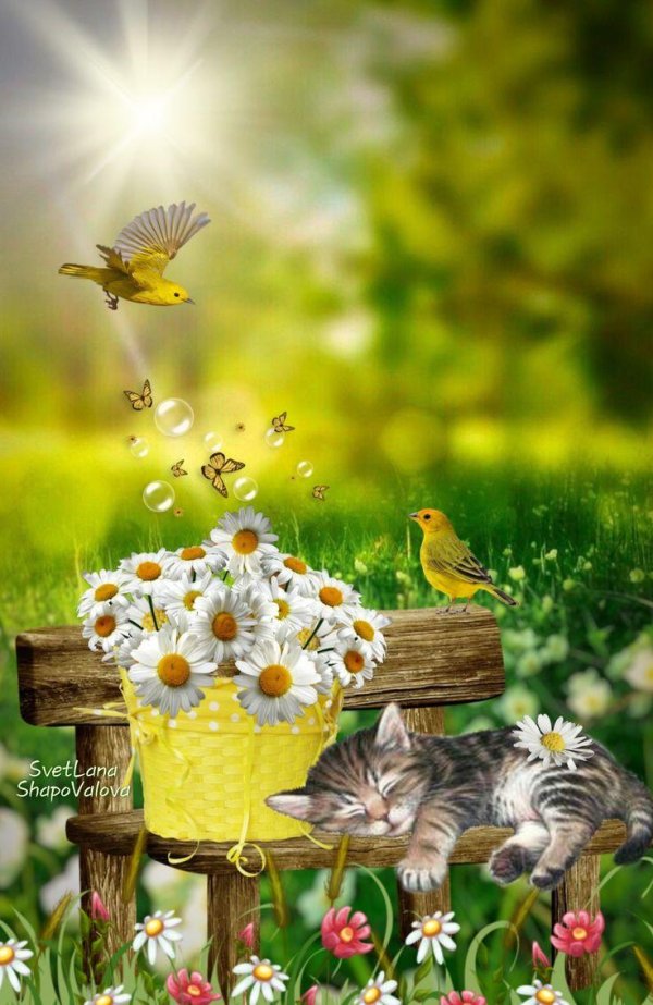 летние открытки