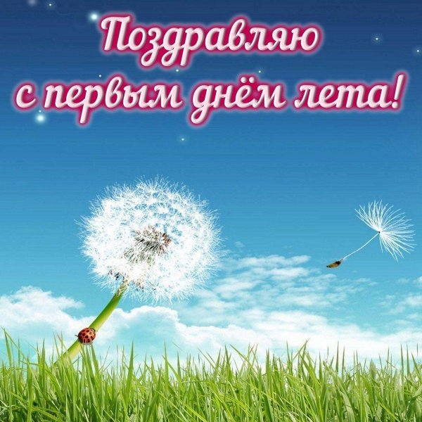 одуванчик геншин