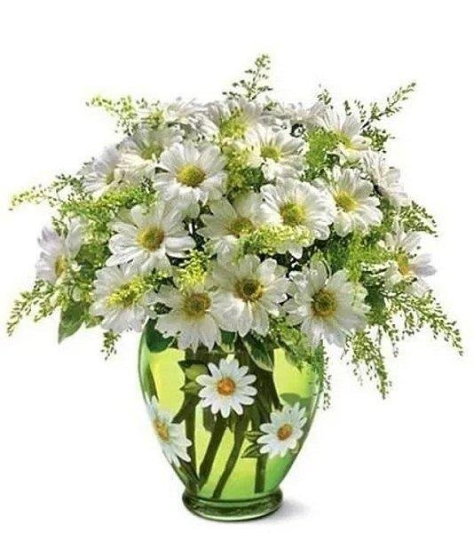 Ромашки хорошего дня