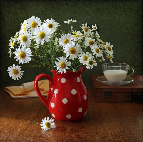 ромашка в вазе