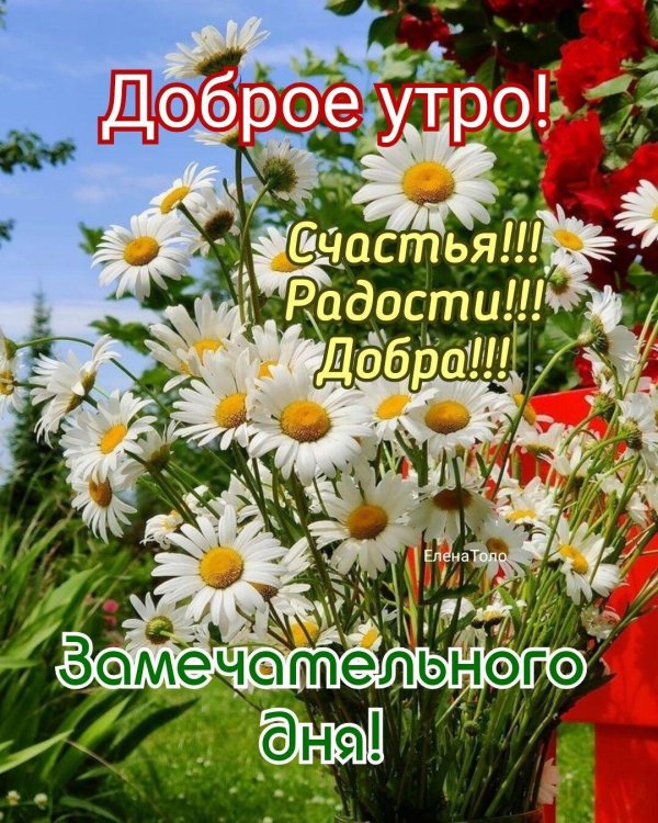 доброе утро и отличного настроения