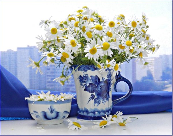 доброго утра ромашки