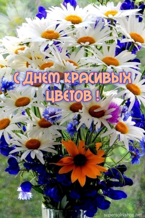 красивые букеты полевых цветов