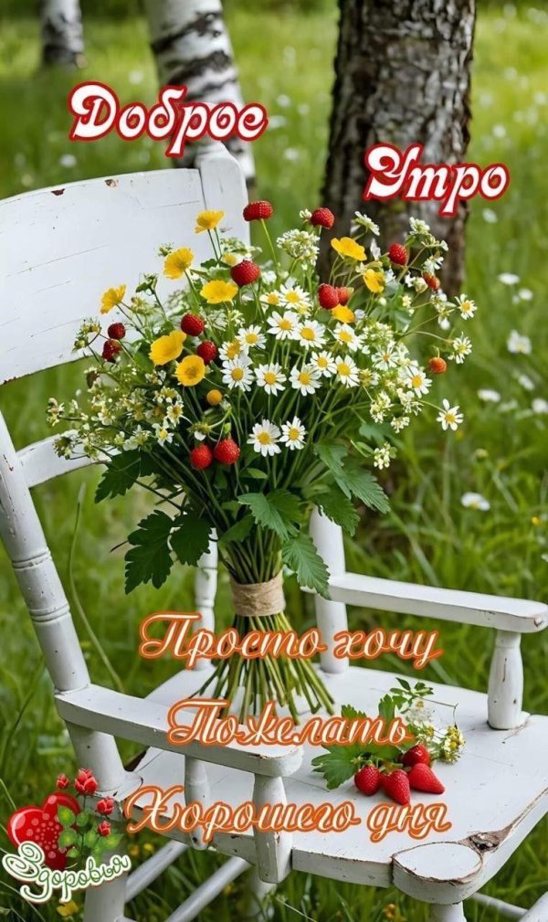 добрейшего летнего утра