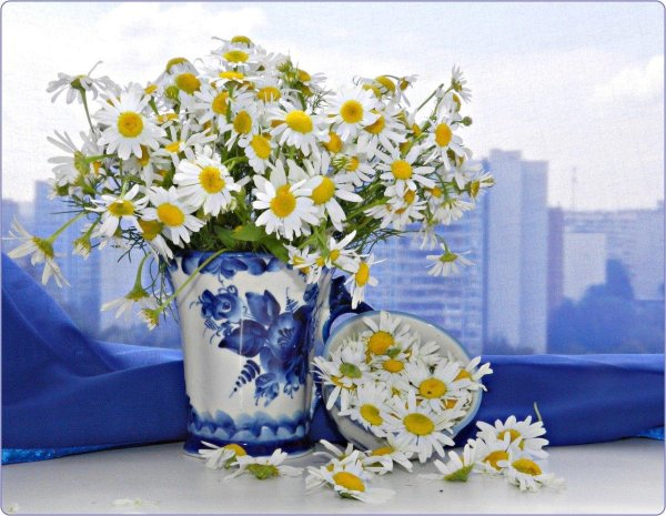 добрый день ромашки