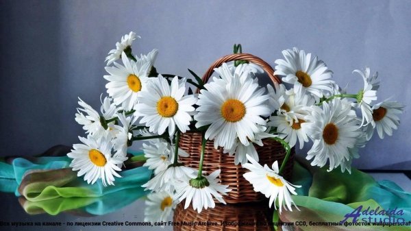 букет ромашек