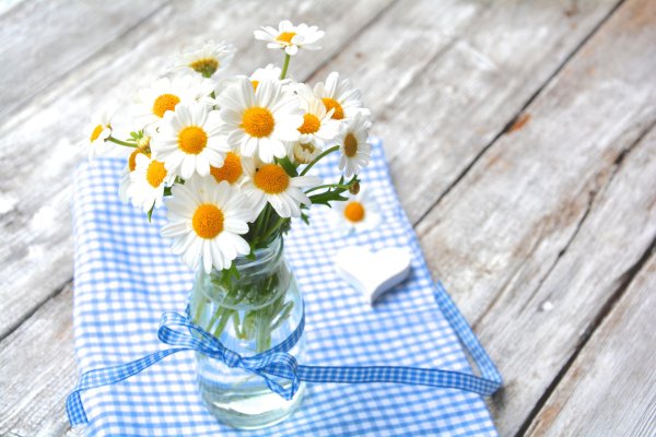 букет ромашек