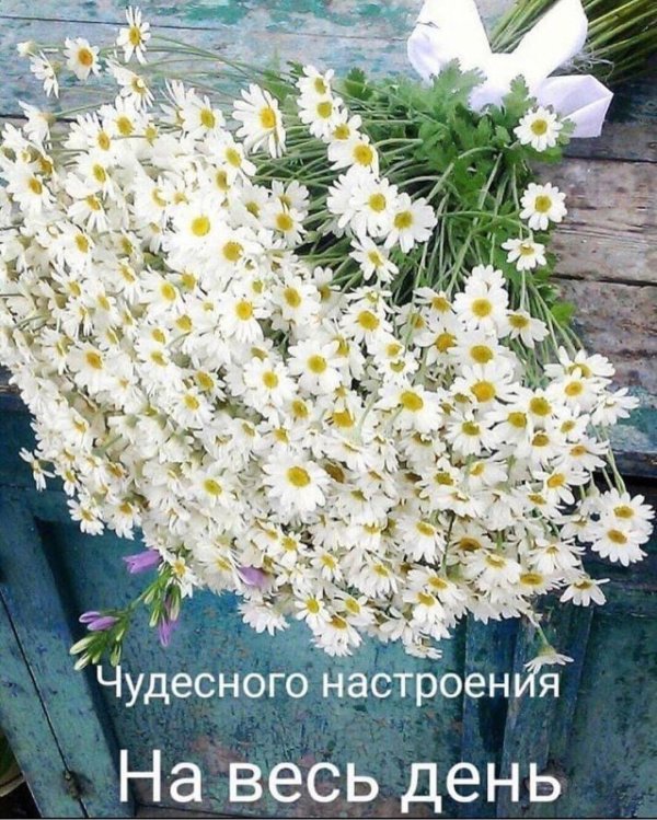 чудесного настроения