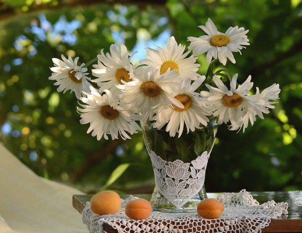 букет ромашек