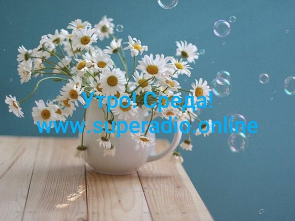 букет ромашек