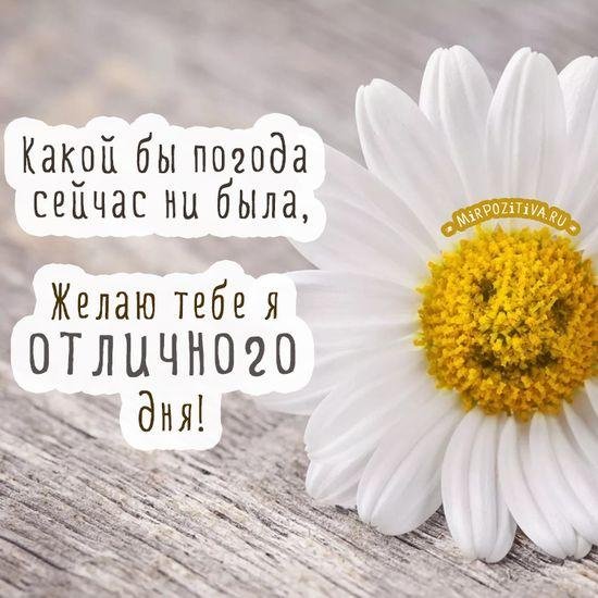 хорошего дня и отличного настроения
