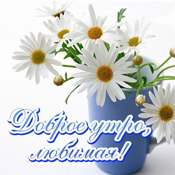 доброе утро любимая с ромашками
