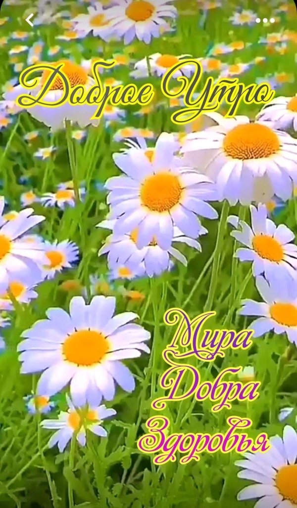 добра утра