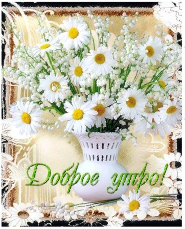 доброго утра с ромашками