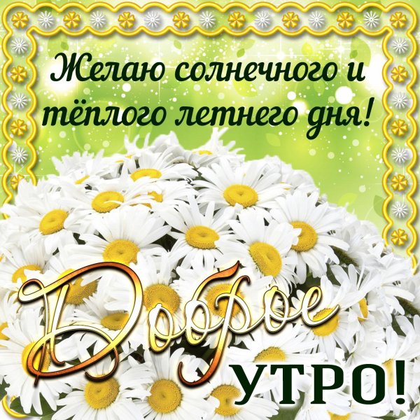 поздравление с добрым днем летним