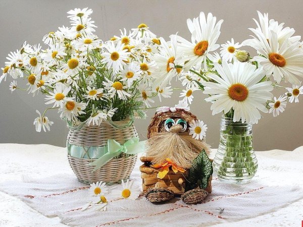 букет ромашек