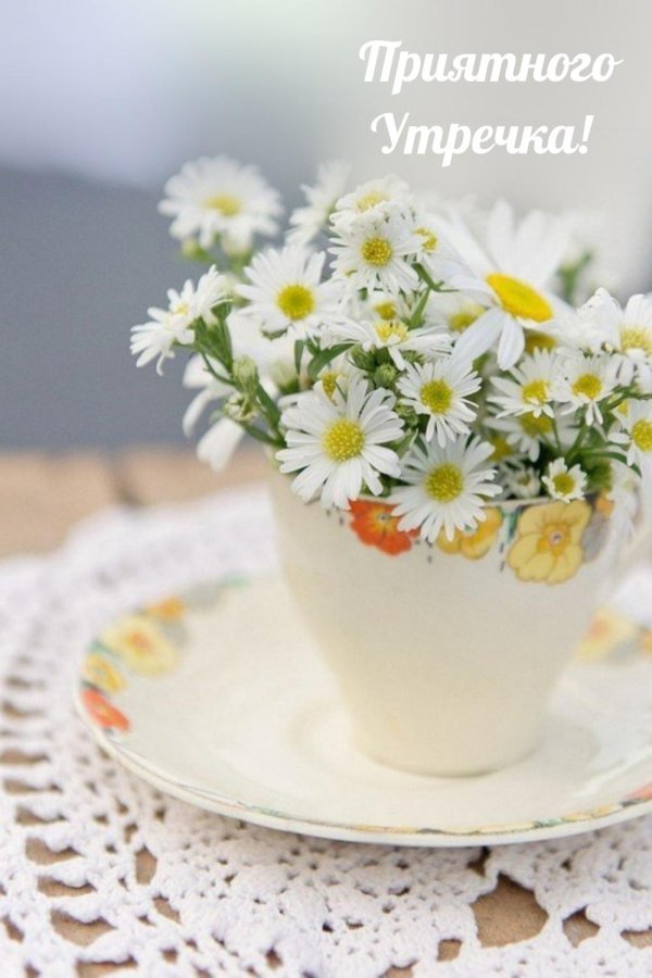 доброе утро букет ромашек
