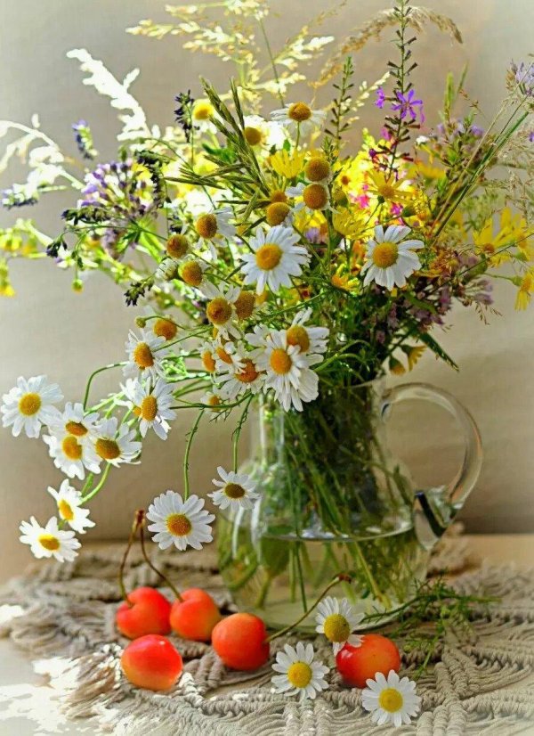 букет полевых цветов