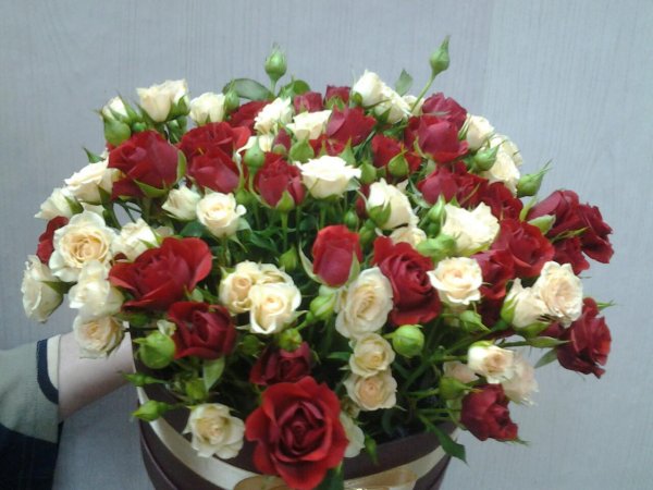 кустовая роза