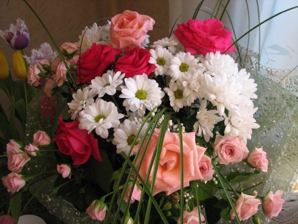 розы хризантемы