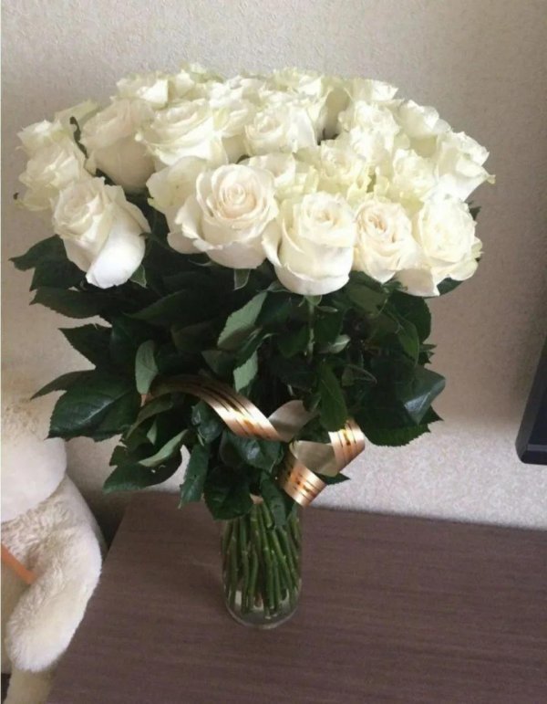 розы голландские мондиаль