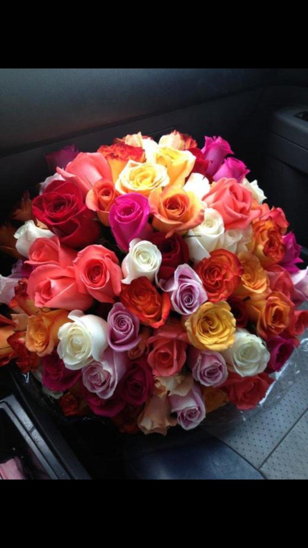 роза кения микс 40см