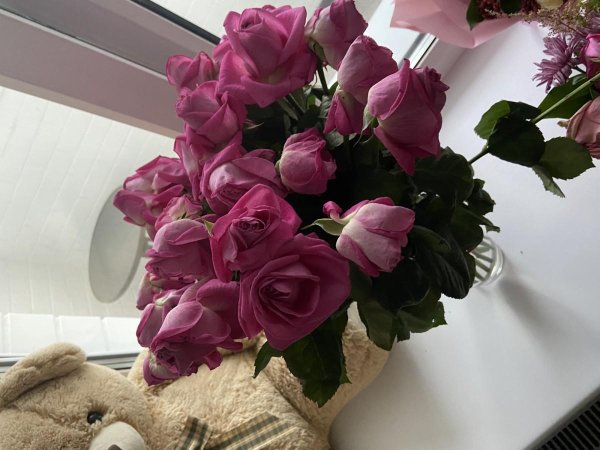 цветы в вазе дома