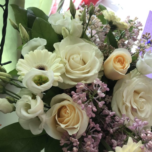 красивая букет