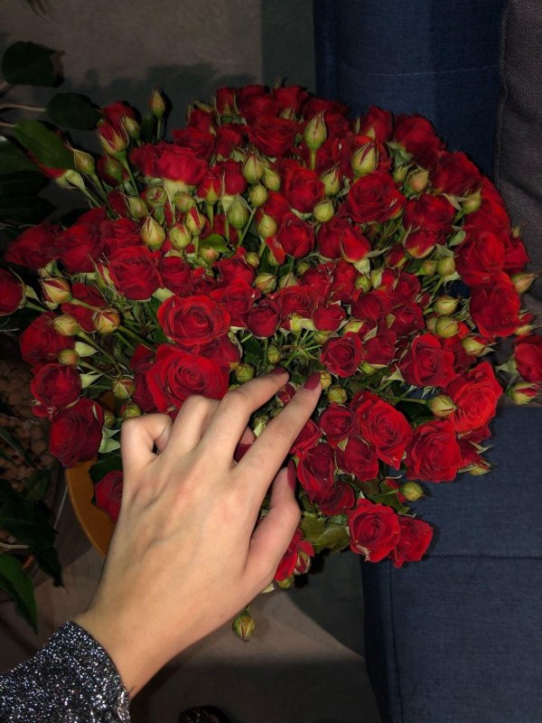 кустовая роза