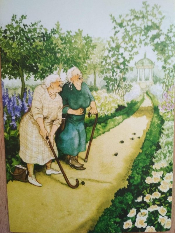 финская художница инге лоок