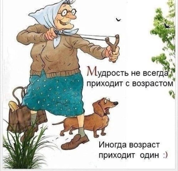 смешная открытка