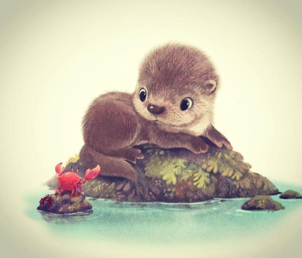 выдренок отто