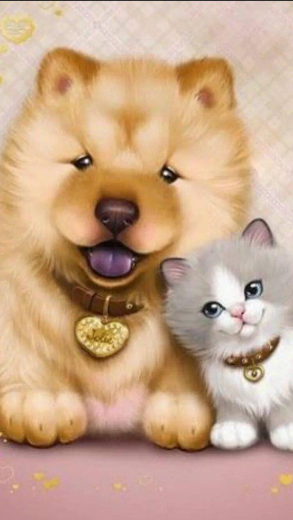 очаровательные котята