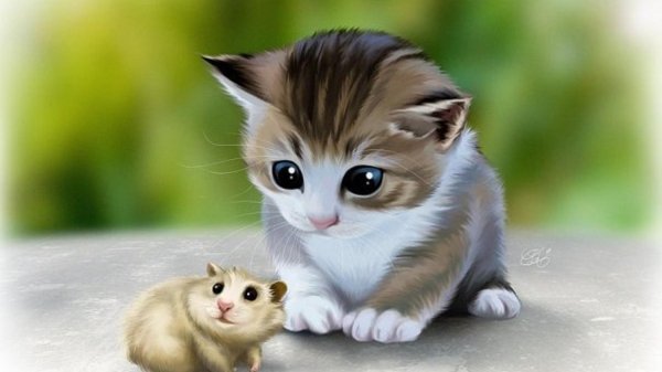 котята милашки