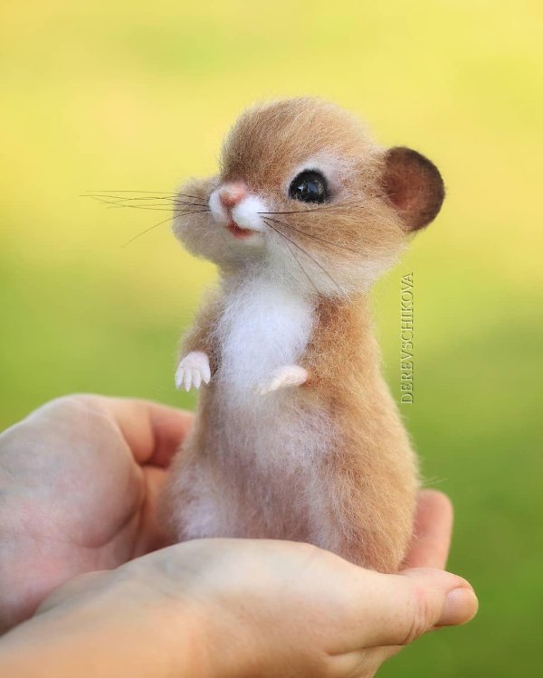 валяные игрушки деревщикова