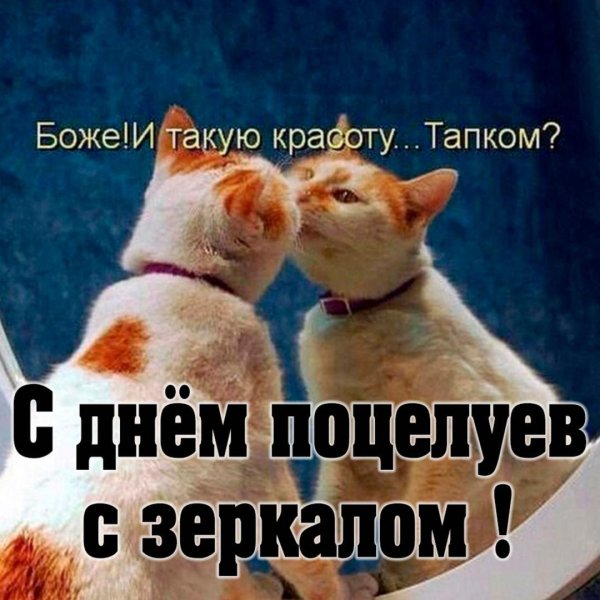 прикольные открытки с днем