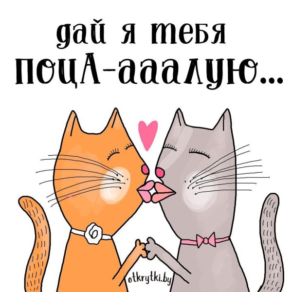целующиеся котики