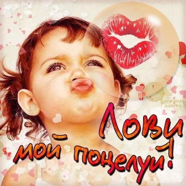 лови мой поцелуй