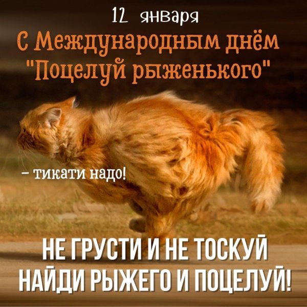 праздник рыжих