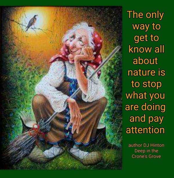 про бабу ягу