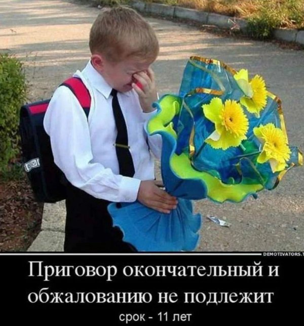 приговор окончательный