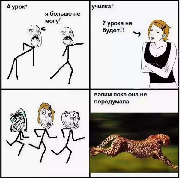 самое быстрое животное