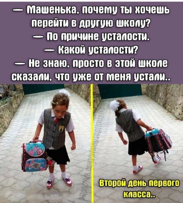 смешные цитаты о школе и школьниках