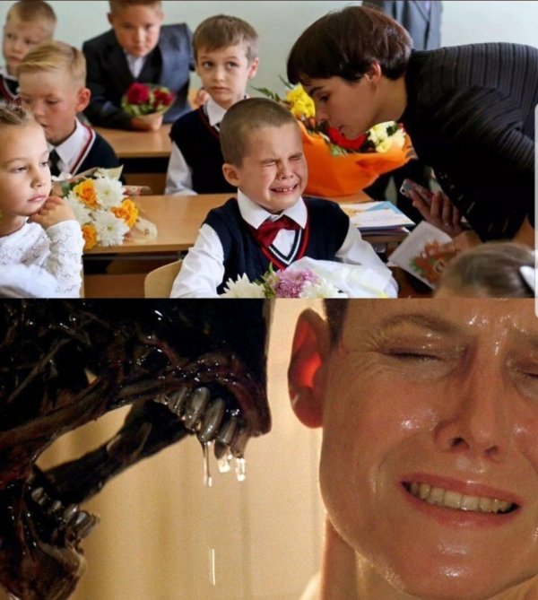 первоклассник мем