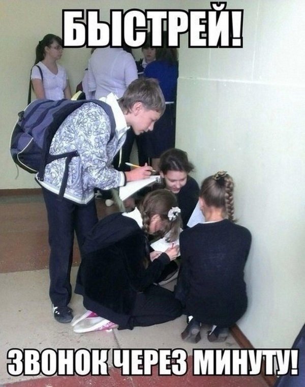 приколы школа