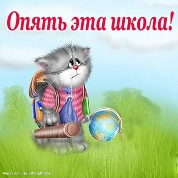 котики алексея долотова